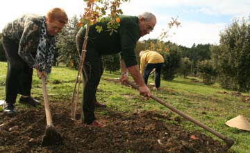 imagen de una edición anterior de la campaña 'un árbol por el Párkinson'