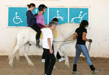 equino equinoterapia